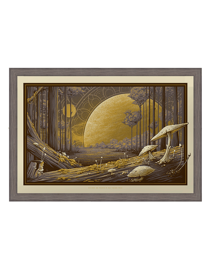 Meet Me At The Creek