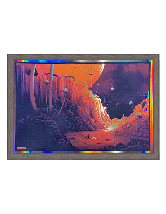 Cosmic Cowboy x DDCC