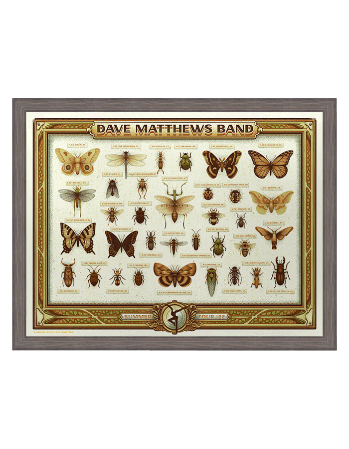 Dave Matthews Band | Summer '22