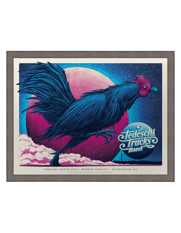 Tedeschi Trucks Band | Washington DC