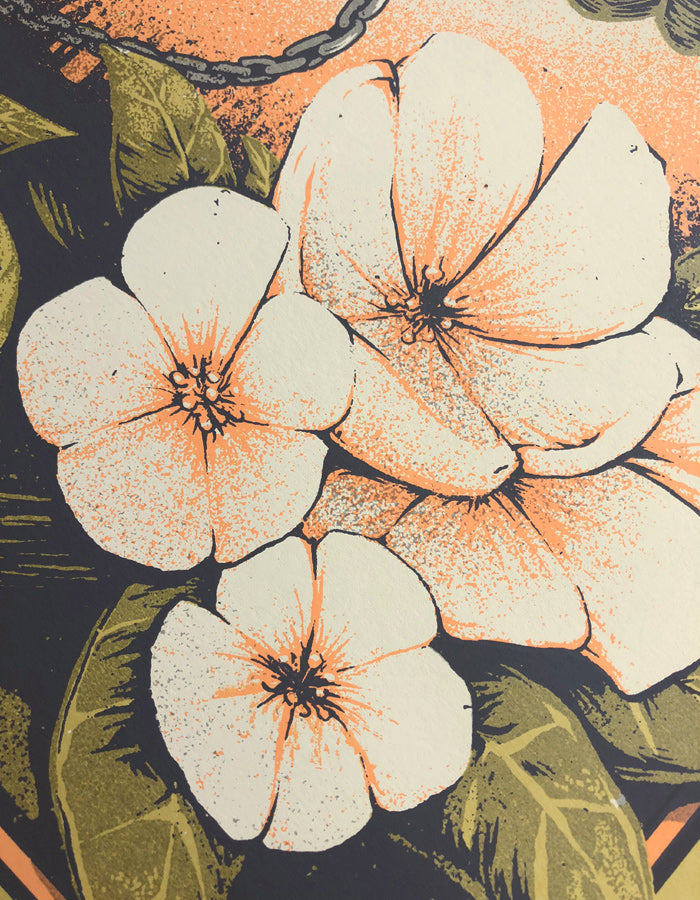 Ray LaMontagne & Neko Case