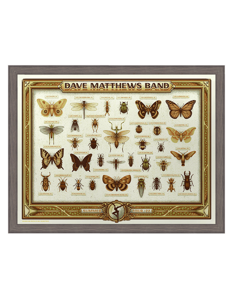 Dave Matthews Band | Summer '22