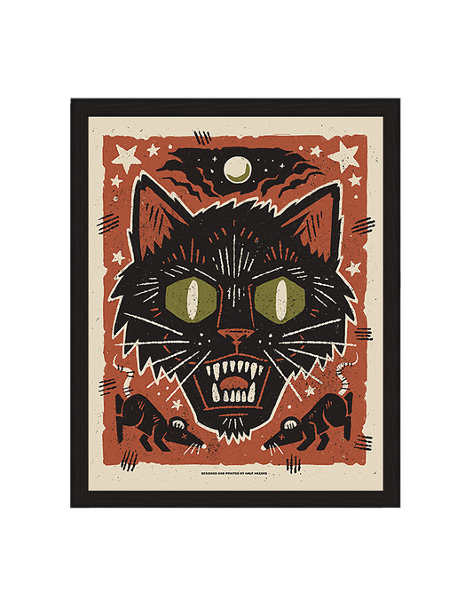 Hollowed-Eyed Black Cat