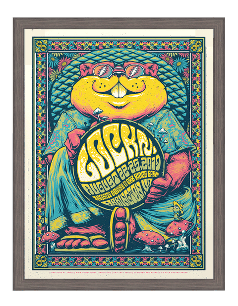 LOCKN' 2019