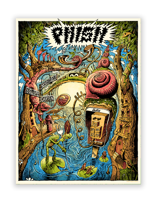 PHISH  |  Madison Square Garden (MSG), NYC | M.Donders
