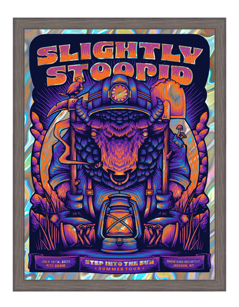 Slightly Stoopid - Jackson, WY | Foil