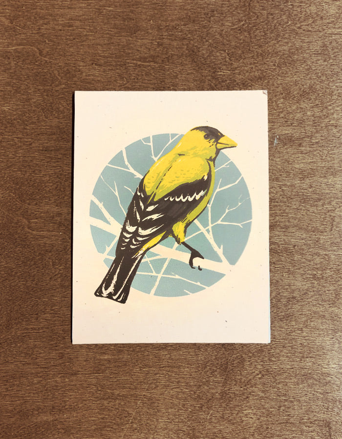 Golden Finch Mini