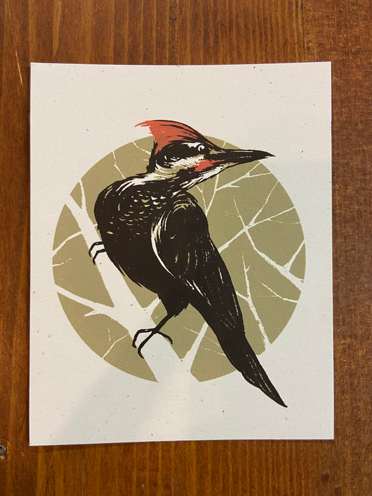 Woodpecker Mini